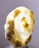 3.2cms SELENITE DOLLAR CRYSTAL Peru Coin Golden Gypsum Suiseki Translucent Premium Mineral Specimen T402