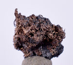 0.6cms NATIVE SILVER WIRES Peru Uchuchaccua Mine 2000 Discovery Mineral Specimen H296