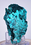 6.7cms BLUE MALACHITE BOTRYOIDA Peru Crystals Grape Spheres Rosette Translucent New Find Stalactite Minerals Specimensn U549
