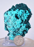 6.7cms BLUE MALACHITE BOTRYOIDA Peru Crystals Grape Spheres Rosette Translucent New Find Stalactite Minerals Specimensn U549