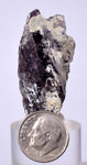 3.9cms GEM AXINITE CRYSTALS  Shiny Peru Mineral Specimen Collectors A541