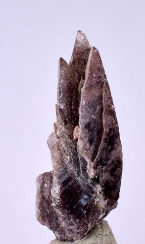 5.6cms GEM AXINITE CRYSTALS  Shiny Peru Mineral Specimen Collectors A543