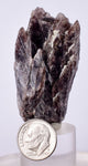 5cms GEM AXINITE CRYSTALS  Shiny Peru Mineral Specimen Collectors A547