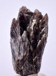 5cms GEM AXINITE CRYSTALS  Shiny Peru Mineral Specimen Collectors A547