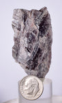 5.3cms GEM AXINITE CRYSTALS  Shiny Peru Mineral Specimen Collectors A548