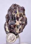 5.8cms GEM AXINITE CRYSTALS  Shiny Peru Mineral Specimen Collectors A549