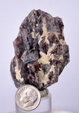 5.8cms GEM AXINITE CRYSTALS  Shiny Peru Mineral Specimen Collectors A549