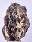 5.8cms GEM AXINITE CRYSTALS  Shiny Peru Mineral Specimen Collectors A549