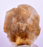 3.6cms SELENITE DOLLAR CRYSTAL Peru Coin Golden Gypsum Suiseki Translucent Premium Mineral Specimen T398
