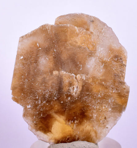 3.6cms SELENITE DOLLAR CRYSTAL Peru Coin Golden Gypsum Suiseki Translucent Premium Mineral Specimen T398