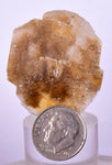 3.6cms SELENITE DOLLAR CRYSTAL Peru Coin Golden Gypsum Suiseki Translucent Premium Mineral Specimen T398