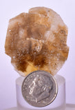 3.6cms SELENITE DOLLAR CRYSTAL Peru Coin Golden Gypsum Suiseki Translucent Premium Mineral Specimen T398
