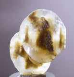 3.5cms SELENITE DOLLAR CRYSTAL Peru Coin Golden Gypsum Suiseki Translucent Premium Mineral Specimen T400