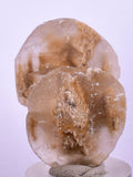 3.5cms SELENITE DOLLAR CRYSTAL Peru Coin Golden Gypsum Suiseki Translucent Premium Mineral Specimen T400