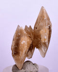 3.5cms SELENITE DOLLAR CRYSTAL Peru Coin Golden Gypsum Suiseki Translucent Premium Mineral Specimen T400