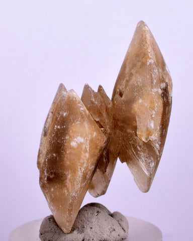 3.5cms SELENITE DOLLAR CRYSTAL Peru Coin Golden Gypsum Suiseki Translucent Premium Mineral Specimen T400