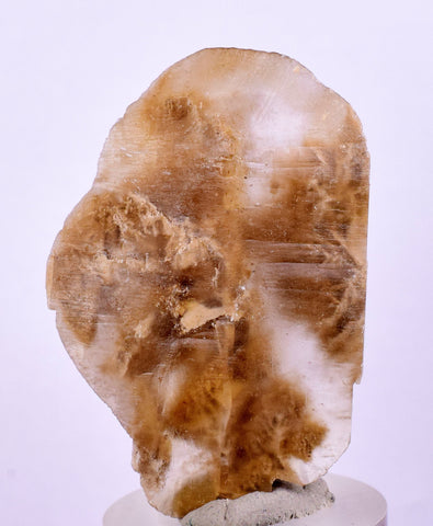4.1cms SELENITE DOLLAR CRYSTAL Peru Coin Golden Gypsum Suiseki Translucent Premium Mineral Specimen T401