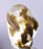 4.1cms SELENITE DOLLAR CRYSTAL Peru Coin Golden Gypsum Suiseki Translucent Premium Mineral Specimen T401