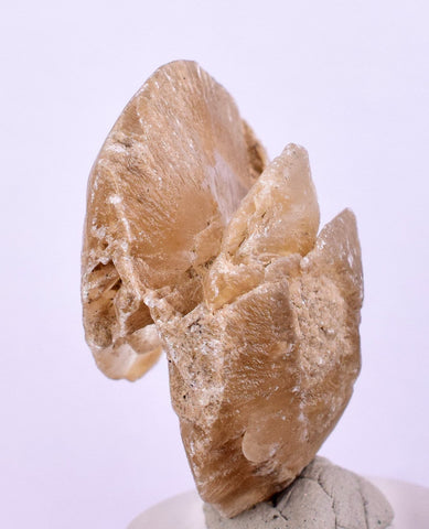 3.2cms SELENITE DOLLAR CRYSTAL Peru Coin Golden Gypsum Suiseki Translucent Premium Mineral Specimen T402