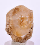 3.2cms SELENITE DOLLAR CRYSTAL Peru Coin Golden Gypsum Suiseki Translucent Premium Mineral Specimen T402