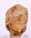 3.2cms SELENITE DOLLAR CRYSTAL Peru Coin Golden Gypsum Suiseki Translucent Premium Mineral Specimen T402