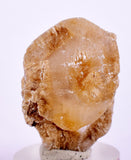 3.2cms SELENITE DOLLAR CRYSTAL Peru Coin Golden Gypsum Suiseki Translucent Premium Mineral Specimen T402