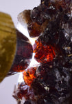 5.5cms SPHALERITE PYRITE Crystals Blenda Main Crystal Mineral Specimen Peru Collector M220
