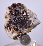 5.5cms SPHALERITE PYRITE Crystals Blenda Main Crystal Mineral Specimen Peru Collector M220