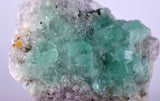6.2cms GREEN FLUORITE Peru Huanzala Mine New Find Aesthetic Rare Gemmy Shiny Crystals Collector Mineral Specimen K90
