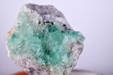 6.2cms GREEN FLUORITE Peru Huanzala Mine New Find Aesthetic Rare Gemmy Shiny Crystals Collector Mineral Specimen K90