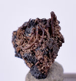 0.6cms NATIVE SILVER WIRES Peru Uchuchaccua Mine 2000 Discovery Mineral Specimen H296