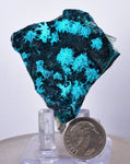 5.3cms BLUE MALACHITE BOTRYOIDAL Peru Crystals Grape Spheres Rosette Translucent New Find Stalactite Minerals Specimensn U547