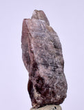5.6cms GEM AXINITE CRYSTALS  Shiny Peru Mineral Specimen Collectors A543