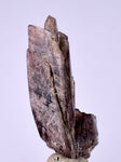 5.6cms GEM AXINITE CRYSTALS  Shiny Peru Mineral Specimen Collectors A543