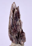 5.6cms GEM AXINITE CRYSTALS  Shiny Peru Mineral Specimen Collectors A543