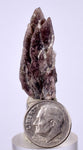5.6cms GEM AXINITE CRYSTALS  Shiny Peru Mineral Specimen Collectors A543