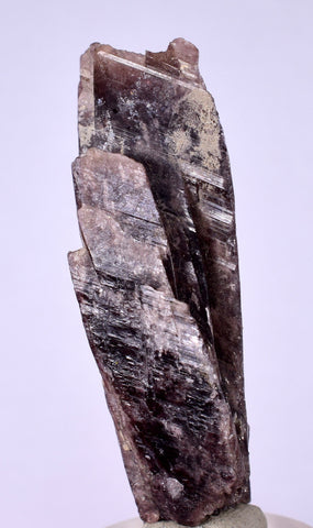 5cms GEM AXINITE CRYSTALS  Shiny Peru Mineral Specimen Collectors A544
