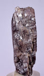 5cms GEM AXINITE CRYSTALS  Shiny Peru Mineral Specimen Collectors A544