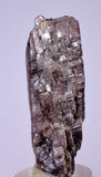 5cms GEM AXINITE CRYSTALS  Shiny Peru Mineral Specimen Collectors A544