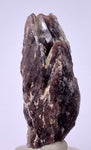 5cms GEM AXINITE CRYSTALS  Shiny Peru Mineral Specimen Collectors A544