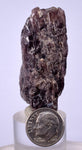 5cms GEM AXINITE CRYSTALS  Shiny Peru Mineral Specimen Collectors A544