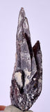5cms GEM AXINITE CRYSTALS  Shiny Peru Mineral Specimen Collectors A545