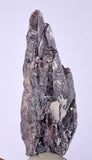 5cms GEM AXINITE CRYSTALS  Shiny Peru Mineral Specimen Collectors A545