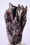 5cms GEM AXINITE CRYSTALS  Shiny Peru Mineral Specimen Collectors A547