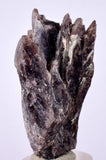 5cms GEM AXINITE CRYSTALS  Shiny Peru Mineral Specimen Collectors A547