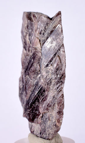 5.3cms GEM AXINITE CRYSTALS  Shiny Peru Mineral Specimen Collectors A548