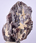 5.8cms GEM AXINITE CRYSTALS  Shiny Peru Mineral Specimen Collectors A549