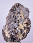5.8cms GEM AXINITE CRYSTALS  Shiny Peru Mineral Specimen Collectors A549