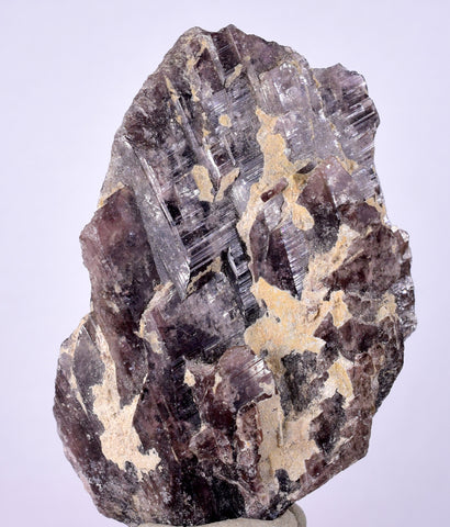5.8cms GEM AXINITE CRYSTALS  Shiny Peru Mineral Specimen Collectors A549