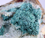 8.8cms GEM SILICA CHRYSOCOLLA Malachite Druzy Quartz Stalactites Lily Mine Peru Calcite Geodes Mineral Specimen D253